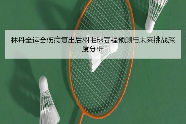 林丹全运会伤病复出后羽毛球赛程预测与未来挑战深度分析