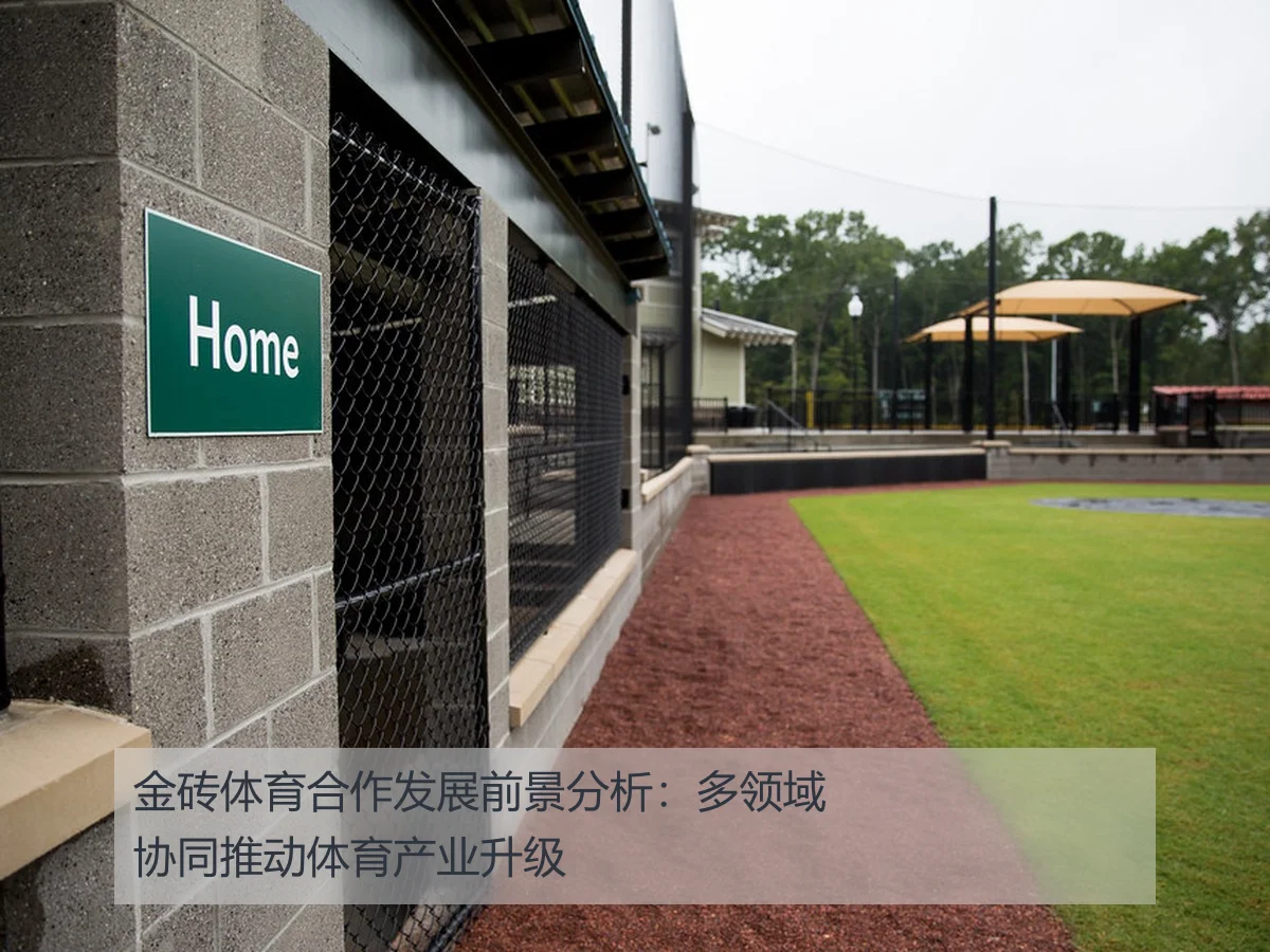 金砖体育合作发展前景分析:多领域协同推动体育产业升级